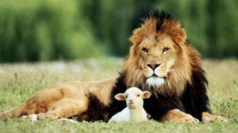Words of Hope – “In like a lion, out like a lamb.”